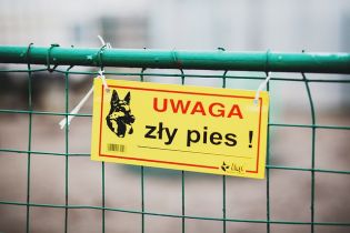 Konsekwencje nie poinformowania PIP o ciężkim wypadku przy pracy