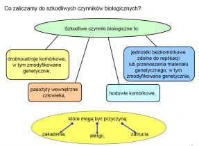 Szkolenie pracowników narażonych na szkodliwe czynniki biologiczne