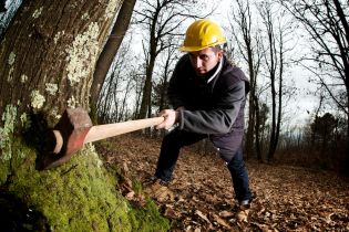 Sezon na kleszcze – chroń pracowników