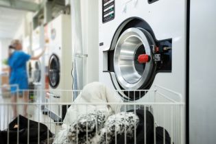 Zadbaj o bezpieczne warunki w pracy w pralniach i farbiarniach