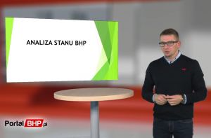 Analiza stanu BHP