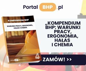 Kompendium BHP: Warunki pracy, ergonomia, hałas i chemia – tom 4