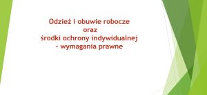 Odzież  
