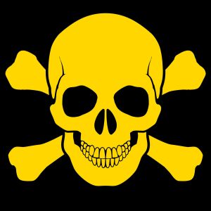 0f44ab9cc544f1c11450ad02949a88dce956d2bc-large