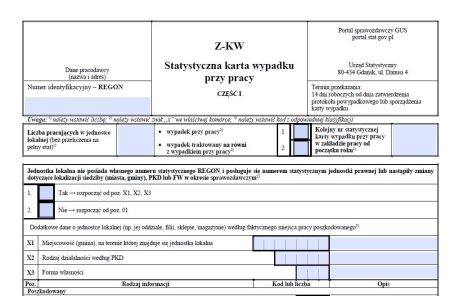 Statystyczna karta wypadku 2023