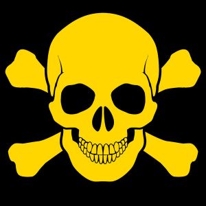 77cd483dc75db3c3dbbffbd3fc6357b2b61cba6d-medium